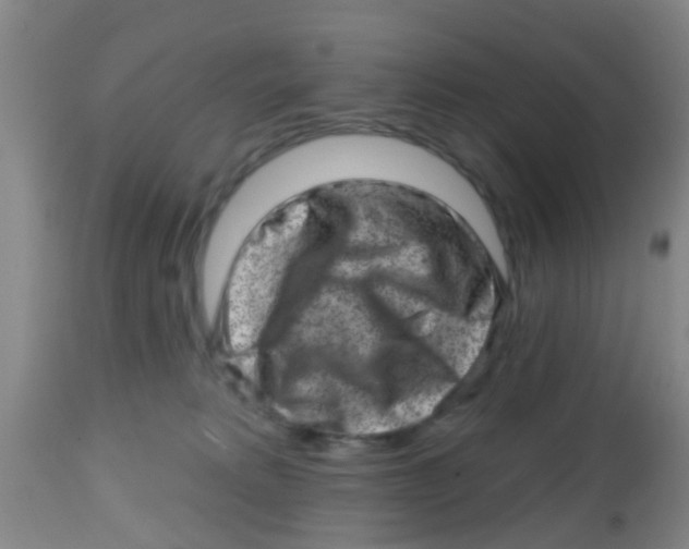 X0000113860229200910221448