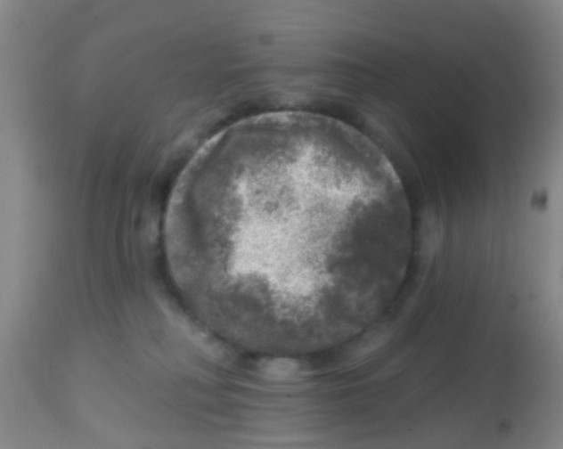 X0000113860230200910221448