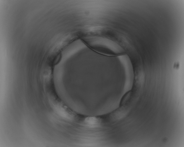 X0000113860231200910221448