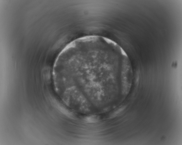 X0000113860232200910221448