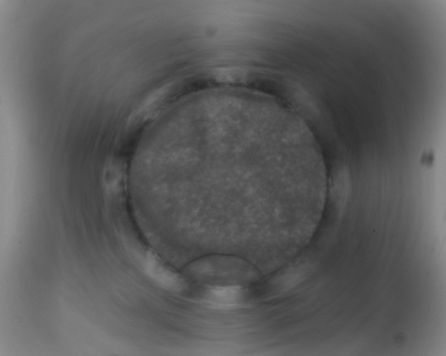 X0000113860233200910221448