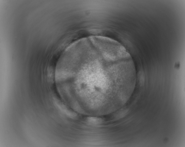X0000113860234200910221448