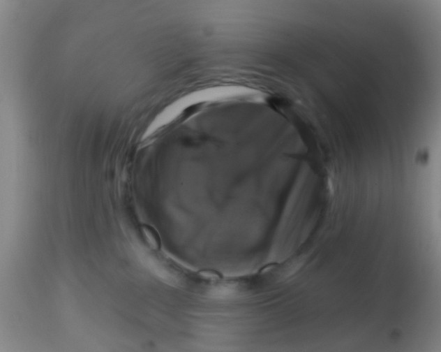 X0000113860235200910221448