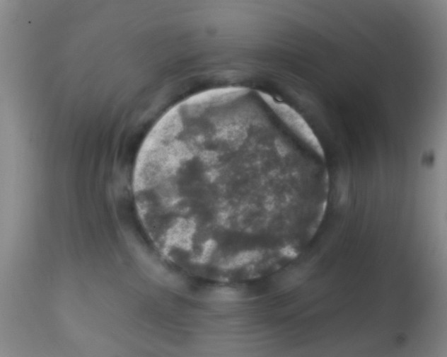 X0000113860236200910221448