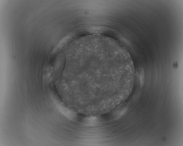 X0000113860237200910221448