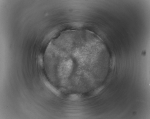 X0000113860238200910221448