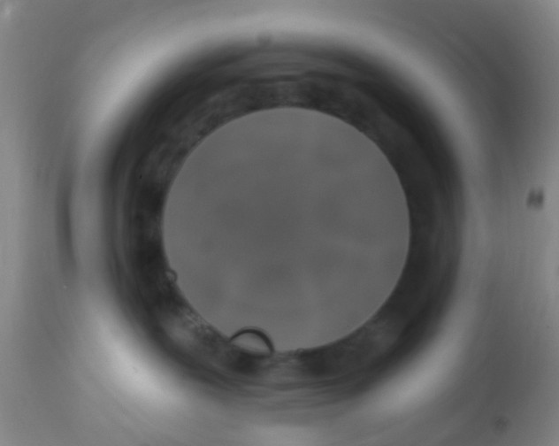 X0000113860239200910221448