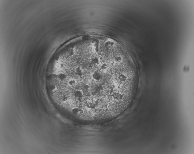 X0000113860241200910221447