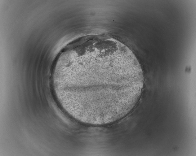 X0000113860242200910221447