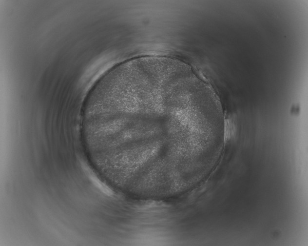 X0000113860243200910221447