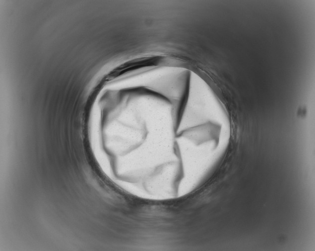 X0000113860244200910221447