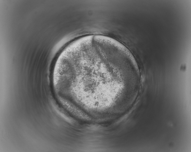 X0000113860246200910221447
