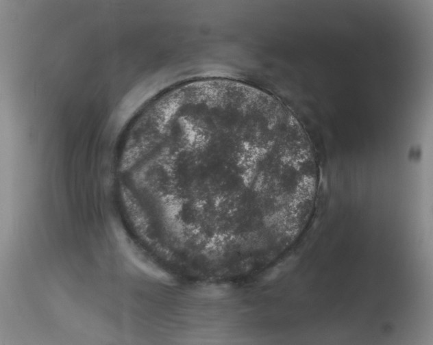 X0000113860247200910221447