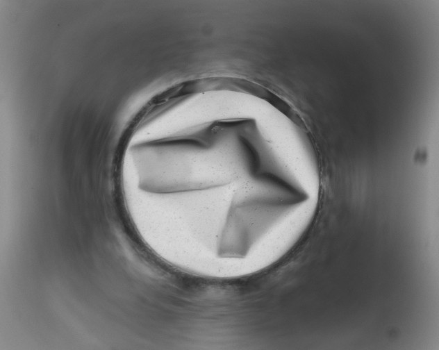 X0000113860248200910221447