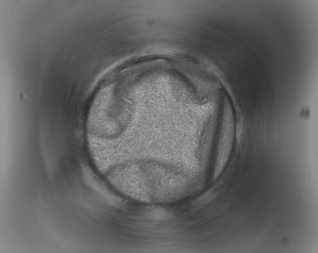 X0000113860249200910221447