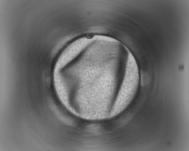 X0000113860252200910221447