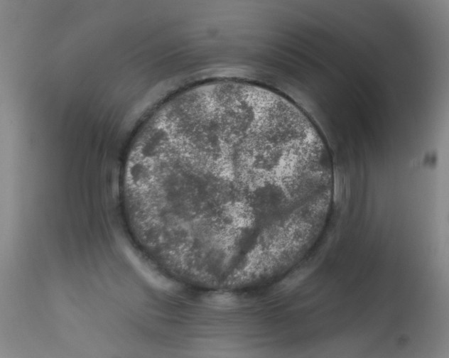 X0000113860253200910221447