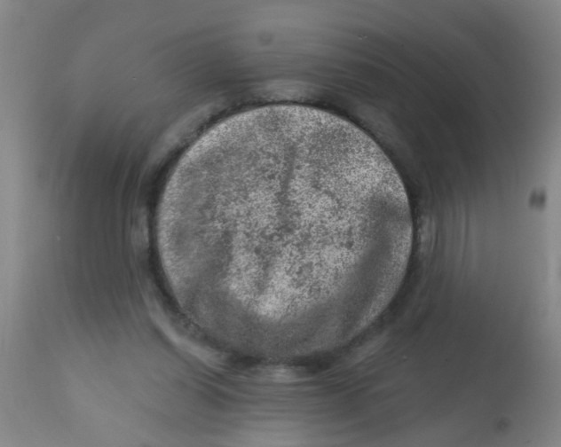 X0000113860254200910221447