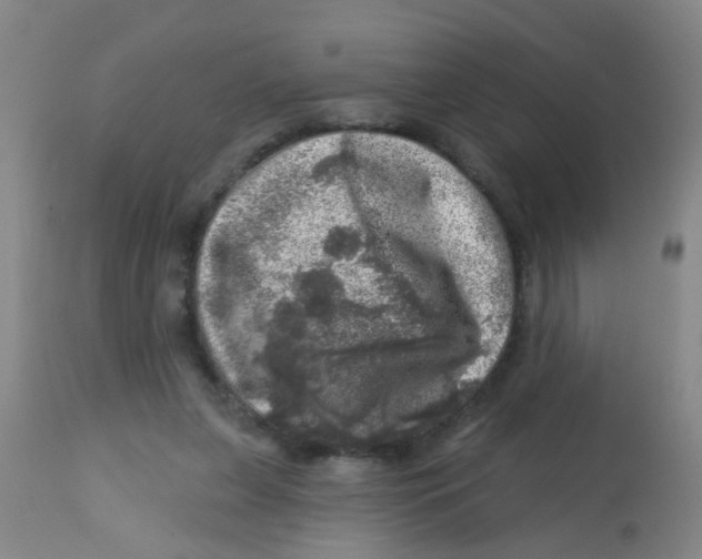 X0000113860255200910221447