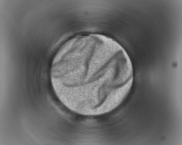X0000113860256200910221447