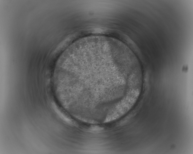 X0000113860257200910221447