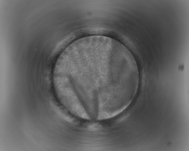 X0000113860258200910221447