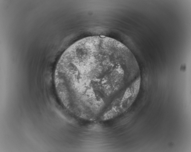 X0000113860259200910221447
