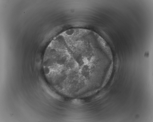 X0000113860261200910221447