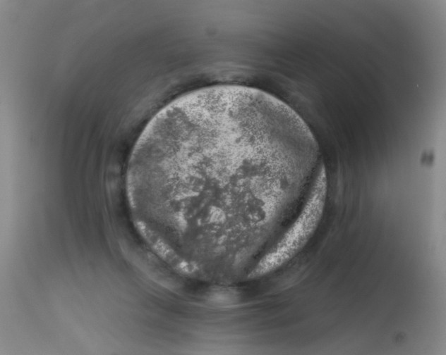 X0000113860263200910221447