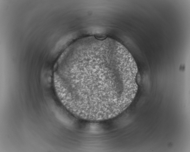 X0000113860264200910221447