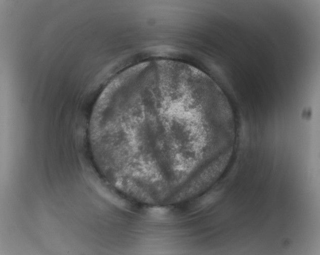 X0000113860265200910221447
