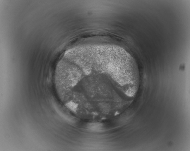 X0000113860266200910221447