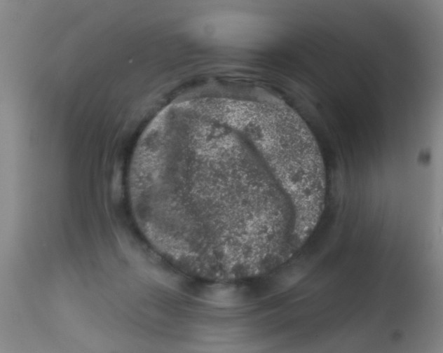 X0000113860267200910221447