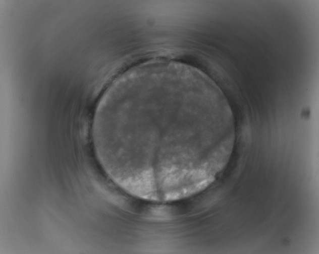 X0000113860268200910221447