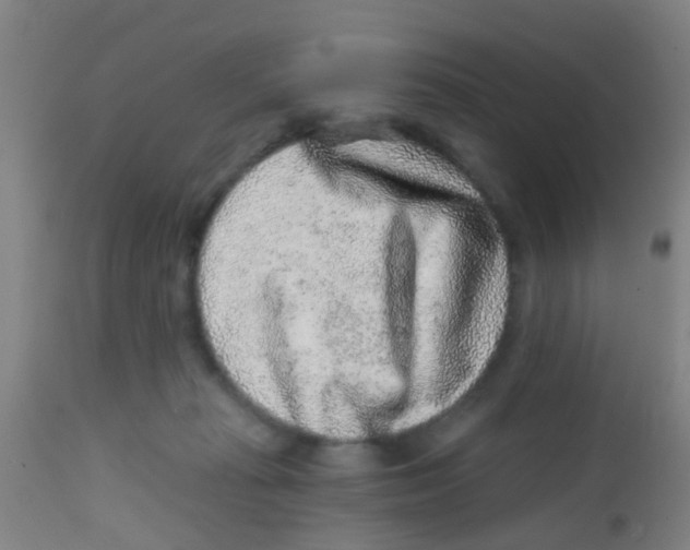 X0000113860269200910221447