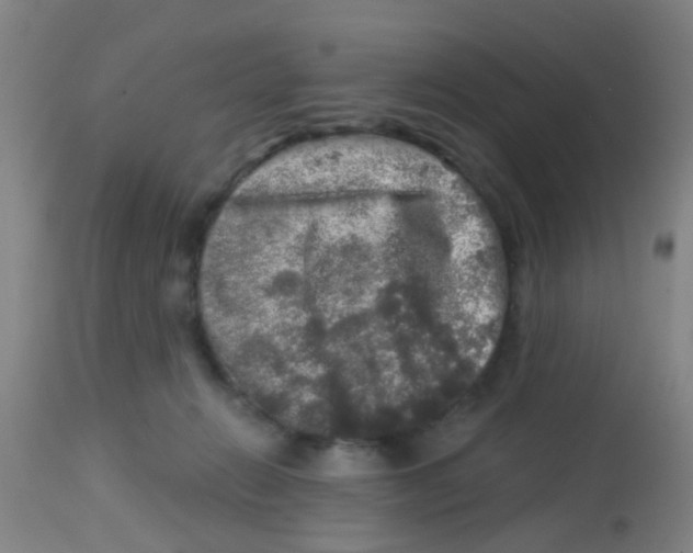 X0000113860270200910221447