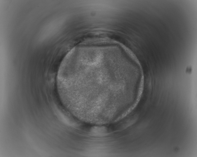 X0000113860271200910221447