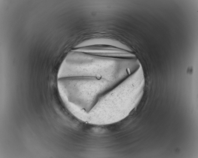 X0000113860272200910221447