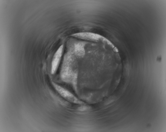 X0000113860274200910221447