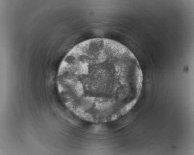 X0000113860275200910221448