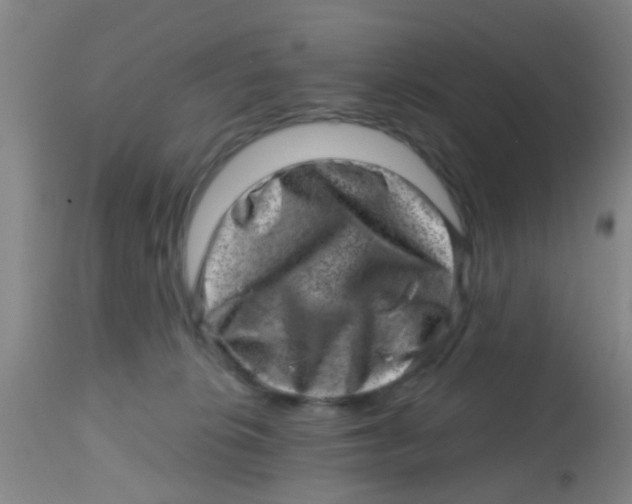 X0000113860276200910221448