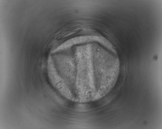X0000113860277200910221448