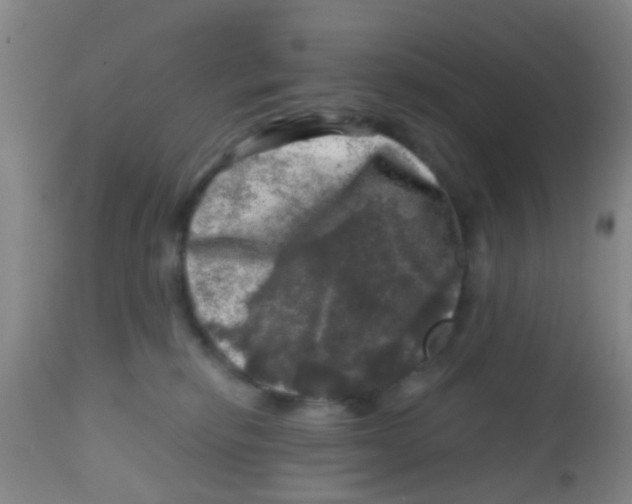 X0000113860278200910221448