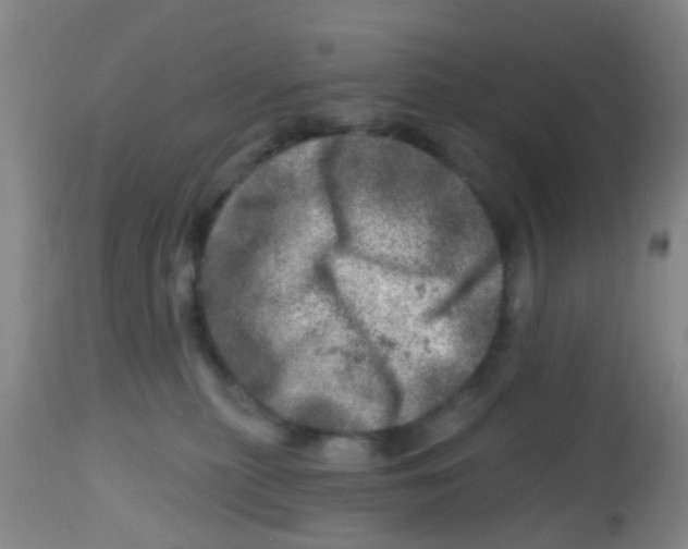 X0000113860279200910221448