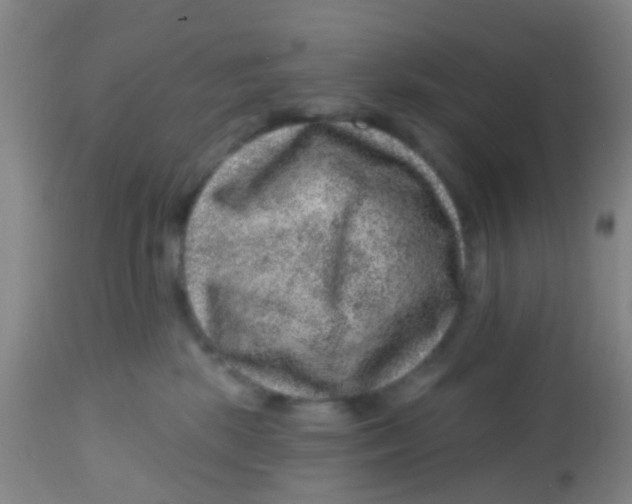 X0000113860281200910221448