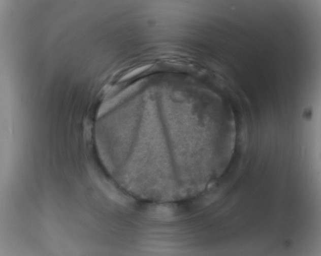 X0000113860282200910221448