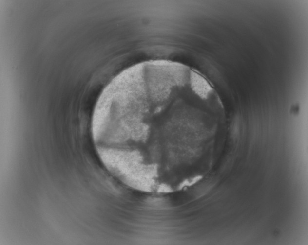 X0000113860283200910221448