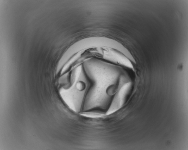 X0000113860284200910221448