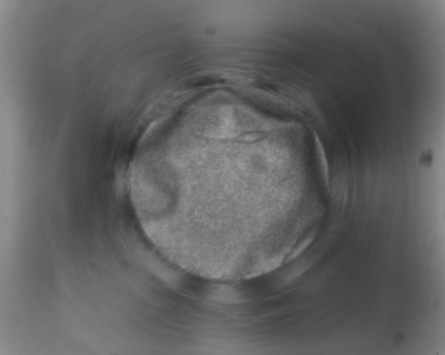X0000113860285200910221448
