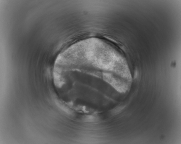 X0000113860286200910221448